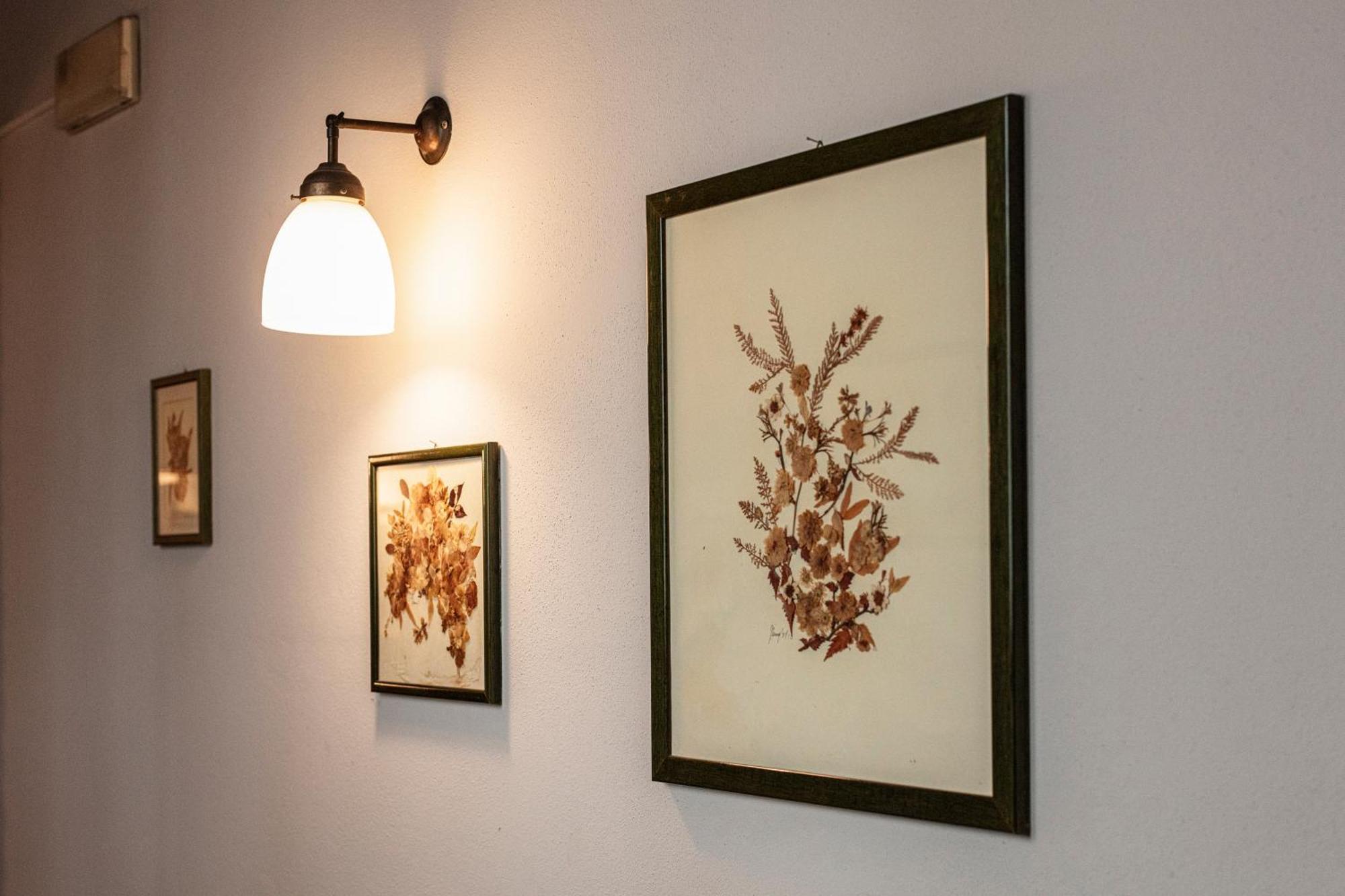 Agroturismo Il Palazzone Montegalda
